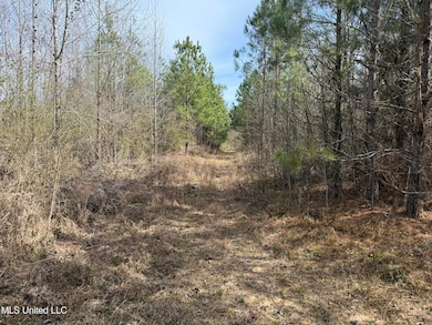 0 Clyde Evans Rd, Newton, MS 39345 - photo 7