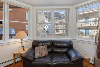 South Facing Windows