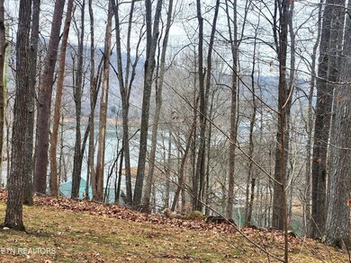 lot 21 Deer Run Point, Lafollette, TN 37766 - photo 4