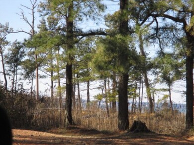 Lot # 5 Wildcat Ln unit 5, Chincoteague, VA 23336 - photo 3