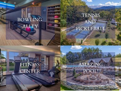 000 Deep Gap Farm Dr unit 237-2021, Mill Spring, NC 28756 - photo 3