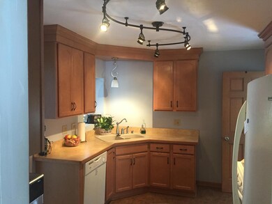 1139 Mitchell Ave, Lansing, MI 48917 - photo 6