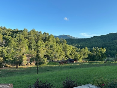 192 Dobson Mountain Rd, Franklin, NC 28734 - photo 7