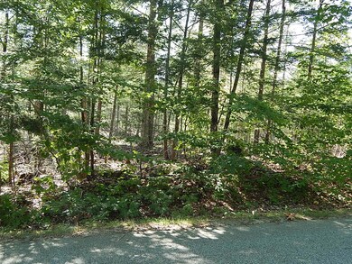 0 Fosterville Rd unit 1468005, Bridgton, ME 04009 - photo 4