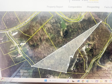 3.97 acres Bridge Chapel Rd, Newport, TN 37821 - photo 2