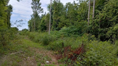 Tract 13 Mount Pleasant Rd, Dalton, GA 30721 - photo 4