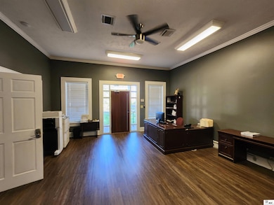 310 S Chestnut St, Tallulah, LA 71282 - photo 4