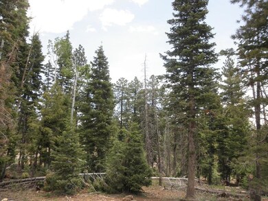 Lot Picture 2
