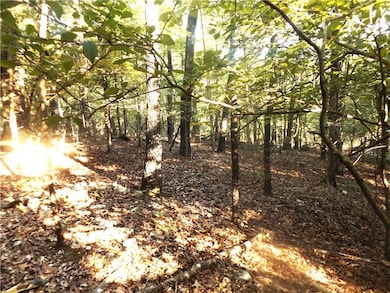 Lot 16 Blk 6 Antler Pass, Henderson, AR 72544 - photo 7