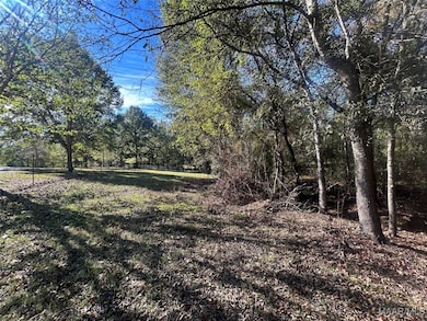 982 Highway 28 E, Camden, AL 36726 - photo 4