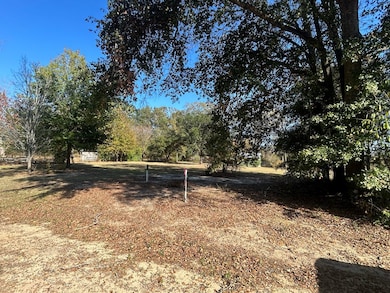 816 N Broad St, Cowarts, AL 36321 - photo 7