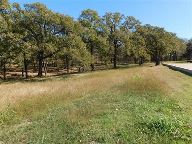 L 10 Waterside Dr, Corsicana, TX 75109 - photo 7