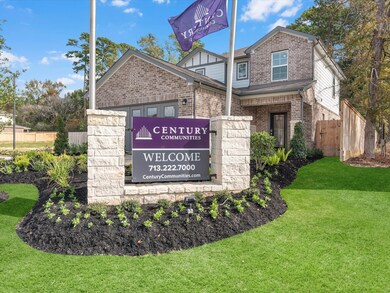 8206 Chai Ct, Magnolia, TX 77354 - photo 3