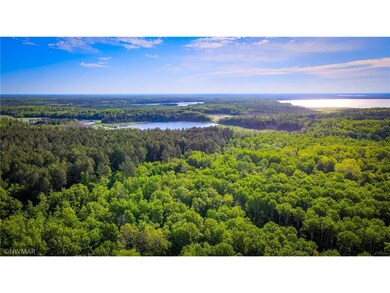 DJI_0783.00_03_24_18.Still004-2.jpg