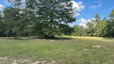 4264 Cleveland Rd unit LotWP001, Milton, FL 32570 - photo 7