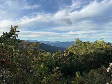 585 Cardinal Bluff Rd, Whittier, NC 28789 - photo 2