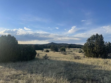 TBD Black Diamond Park, Walsenburg, CO 81089 - photo 7