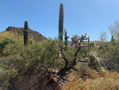 IMG_0722