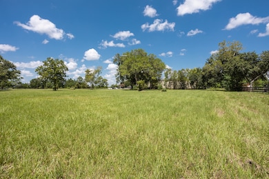 0 County Road 367, Alvin, TX 77511 - photo 4