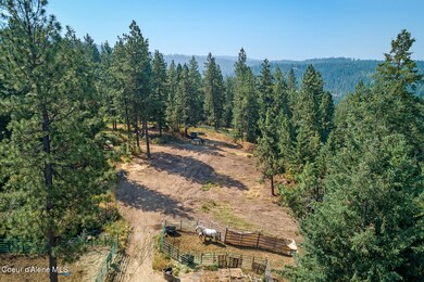 Aerial_LisaRdLand-5