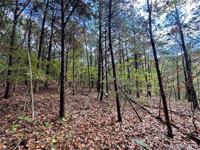 16 Ac Haverstick School Rd, Central Township, MO 63028 - photo 5