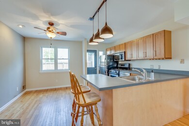 2040 Druid Park Dr, Baltimore, MD 21211 - photo 7