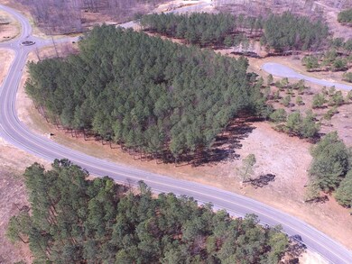 2275 River Bluffs Dr, Jasper, TN 37347 - photo 5