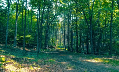 320 Green Mountain Camp Rd, Dummerston, VT 05301 - photo 7
