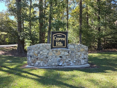 312 County Road 174, Jasper, TX 75951 - photo 3