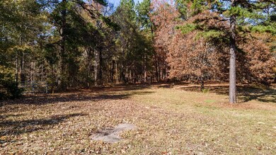 TBD County Road 291, Tyler, TX 75707 - photo 6