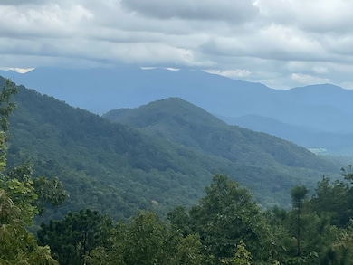 Lot 332 N Wildflower Rd, Franklin, NC 28734 - photo 6