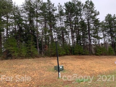 lot 12 River Birch Dr unit 12, Iron Station, NC 28080 - photo 7