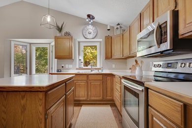 745 Mill Run Cir, Saint Paul, MN 55123 - photo 3