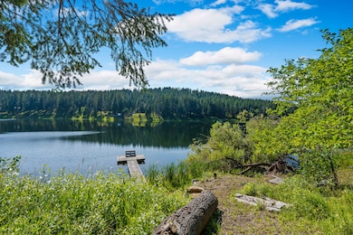 890 McCaffery Rd, Bigfork, MT 59911 - photo 6