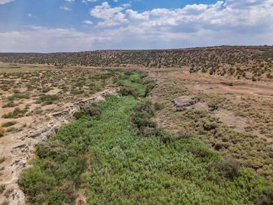 95 Cliff Thorn Rd, Quemado, NM 87829 - photo 4