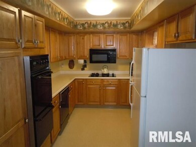 25 Tulip Dr, Lincoln, IL 62656 - photo 4