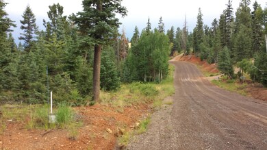 2875 N Smith and Wesson Loop, Duck Creek Village, UT 84762 - photo 2