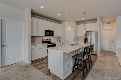 4505 Cholla Trail, Castle Rock, CO 80104 - photo 7