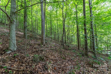 72 Applewood Ln unit 93, Weaverville, NC 28787 - photo 6