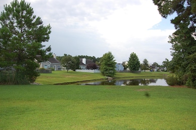 Backyard 2