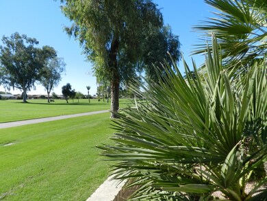 BACK YARD VIEW ON GOLF COURSE