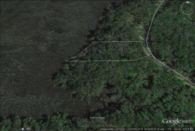 37 Hatton Ln unit (Lot 169), Saint Simons Island, GA 31522 - photo 3