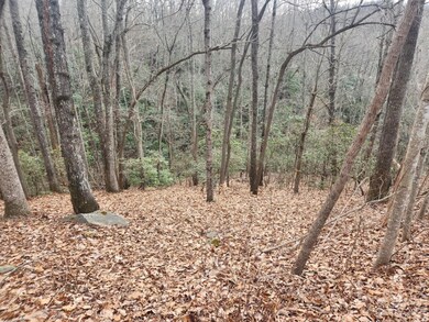 145 Ivywood Ln unit 10, Laurel Park, NC 28739 - photo 4