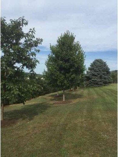 959 S Liberty St, Orwigsburg, PA 17961 - photo 4