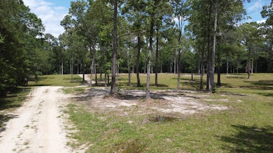 474 River Bluff Trail, Saint Stephen, SC 29479 - photo 2