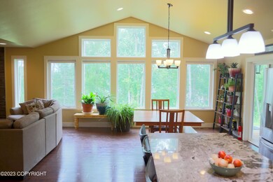 Expansive Windows