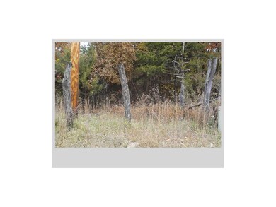 WESTERN BOUNDARY LINE