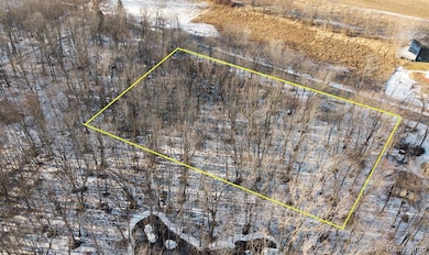 000 Roberts, Iosco Township, MI 48137 - photo 2