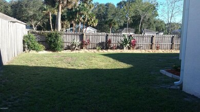 Back yard