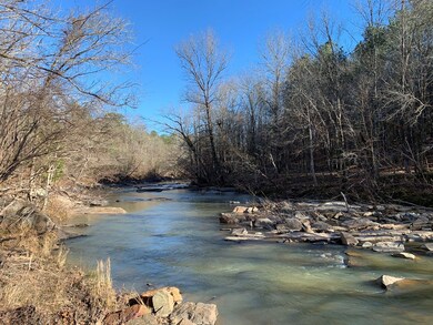 63 ac Lee Road 333, Salem, AL 36874 - photo 3